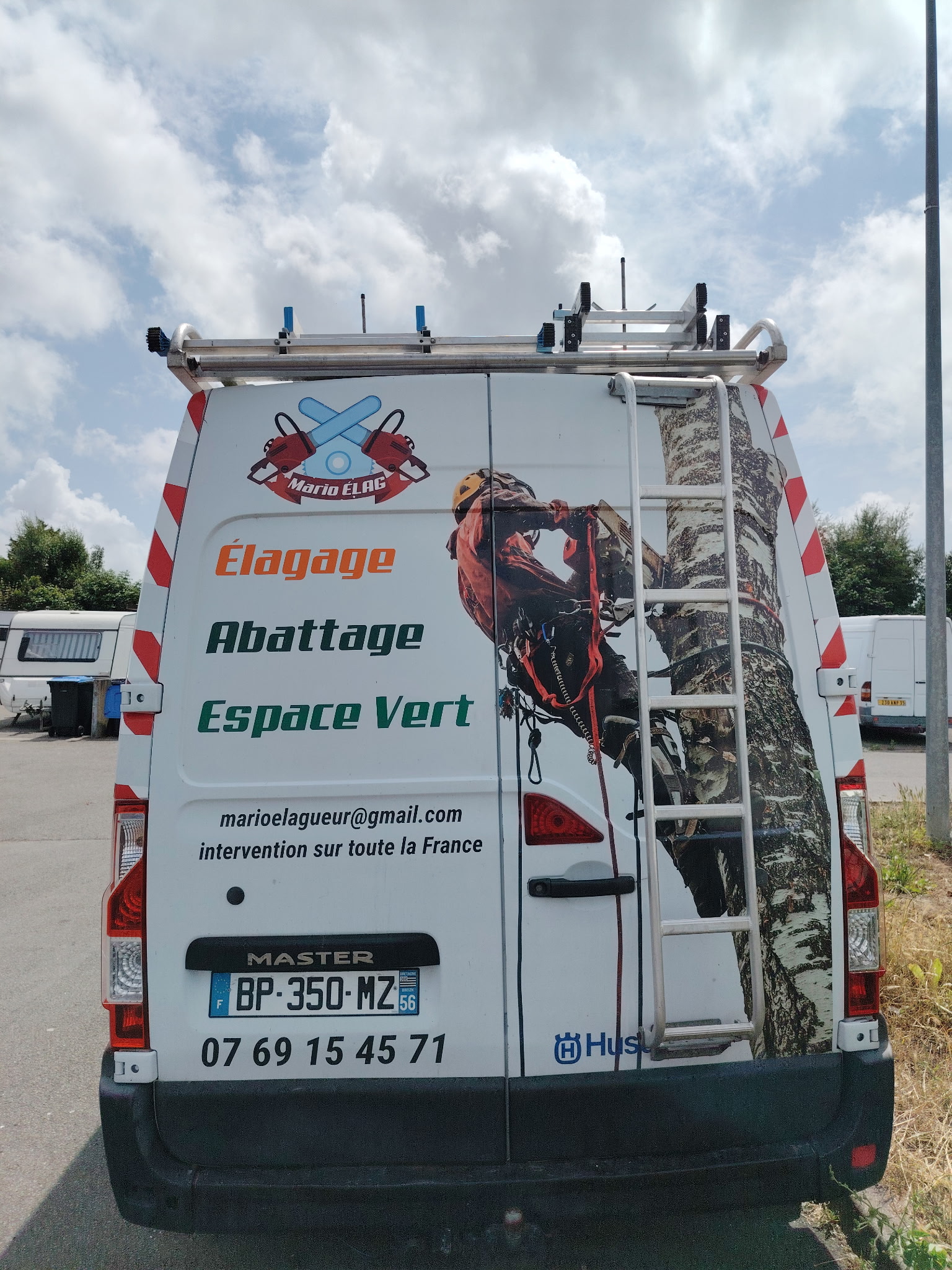 Abattage et démontage d'arbres