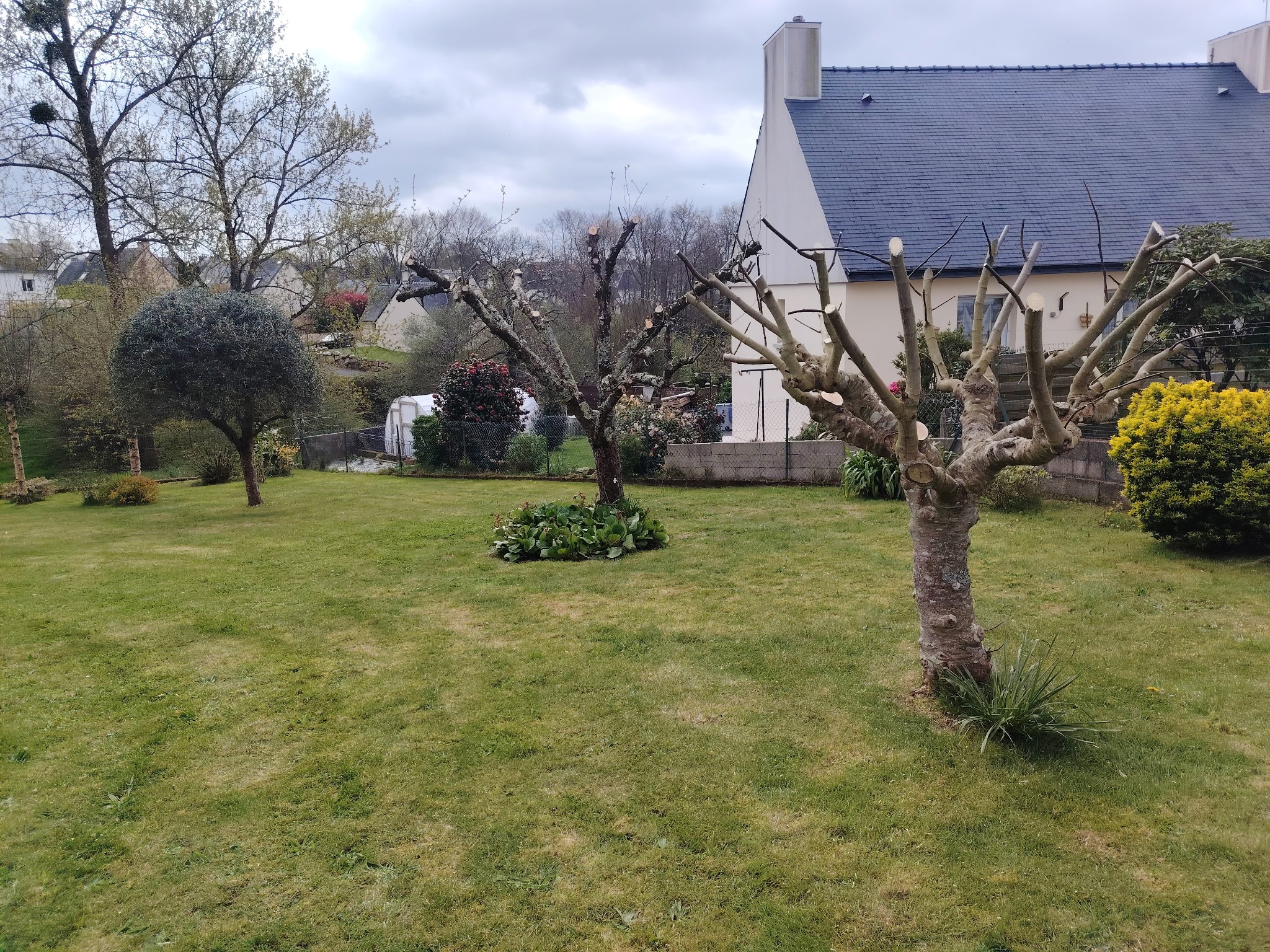 Entretien d'espaces verts